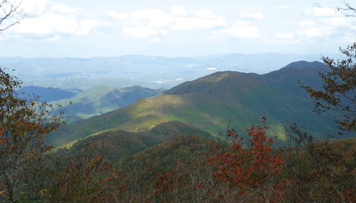 島根県飯南町の自然